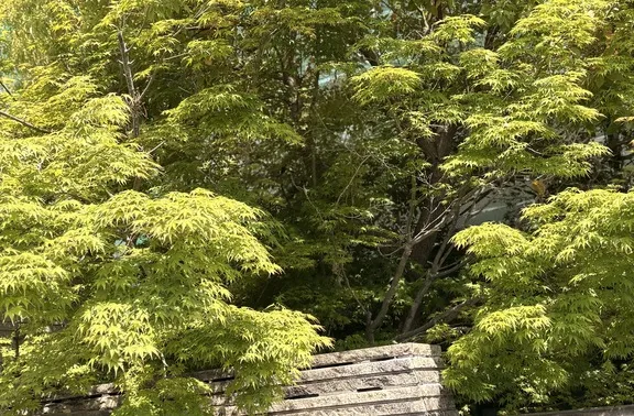 写メ日記 みだら 4/14(火) 11:13