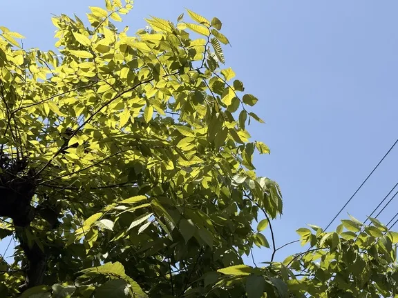 写メ日記 みだら 4/28(火) 13:22