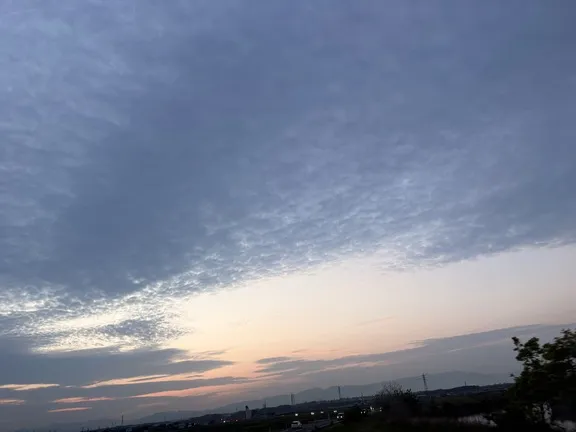 写メ日記 みだら 4/29(水) 01:16