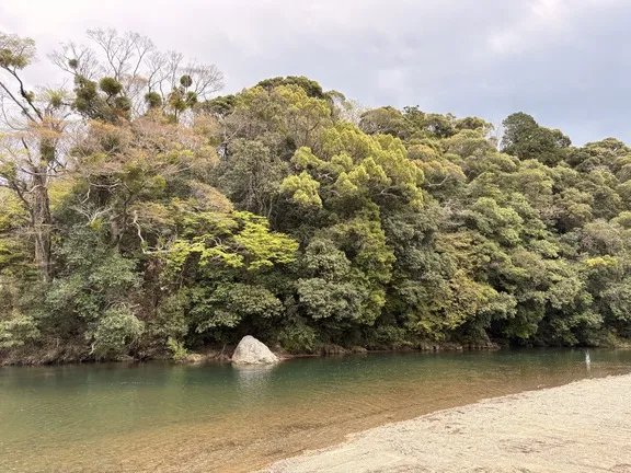 写メ日記 みだら 4/29(水) 15:46