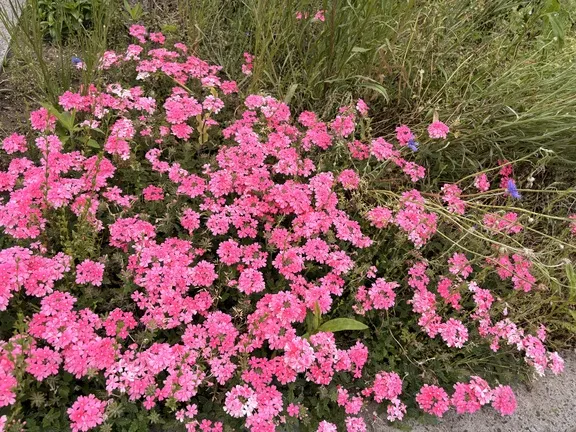 写メ日記 みだら 5/7(木) 09:51