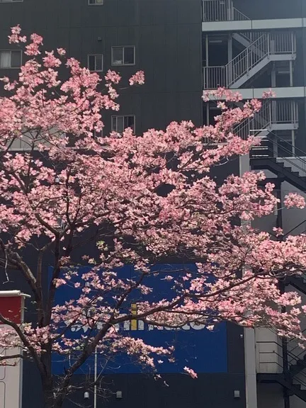写メ日記 ほたる 5/4(月) 15:09