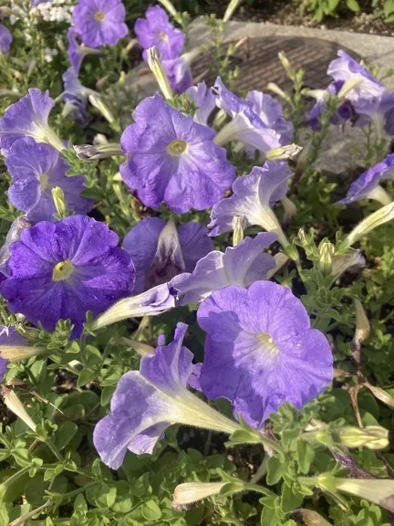 写メ日記 あいる 9/17(木) 16:44