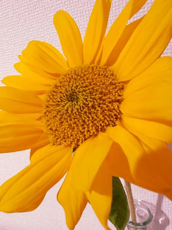 写メ日記 めるる 5/19(火) 09:34
