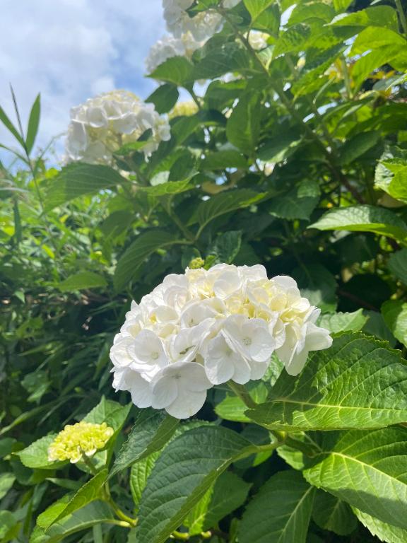 ゆみ 写メ日記 6/13(金) 15:02