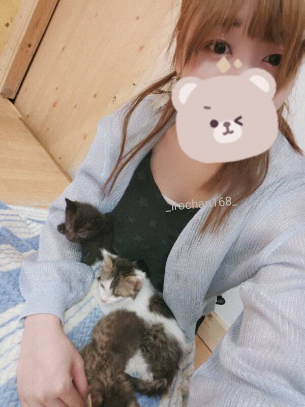いろは 写メ日記 6/24(火) 03:39
