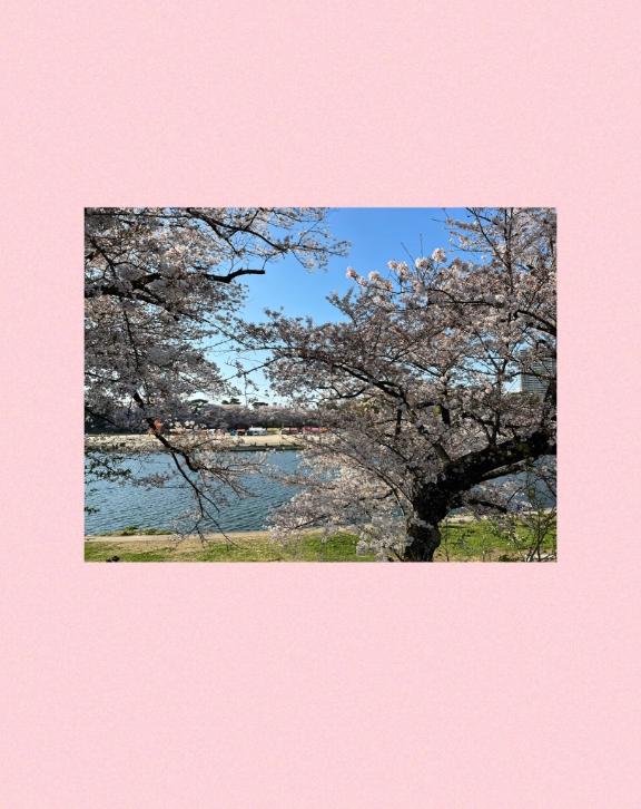 えみり 写メ日記 3/30(日) 06:27