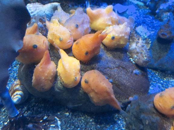 えみり 写メ日記 4/17(木) 21:41