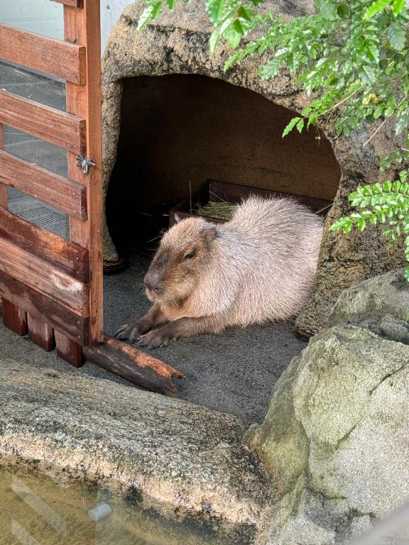 えみり 写メ日記 5/17(土) 21:51