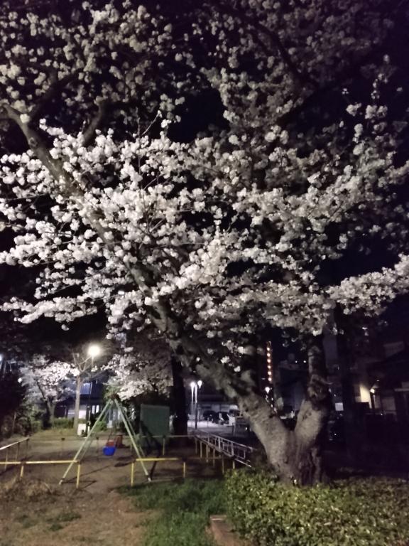 RISA講師 写メ日記 4/3(木) 23:37