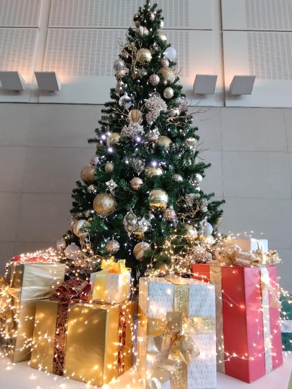 RISA講師 写メ日記 11/28(金) 23:44