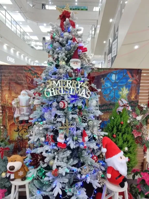 写メ日記 RISA講師 12/10(水) 16:17