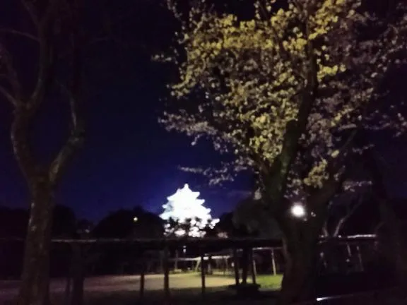 写メ日記 RISA講師 3/27(金) 12:25