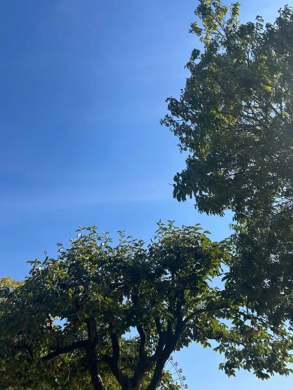 写メ日記 あいか 10/30(木) 16:04