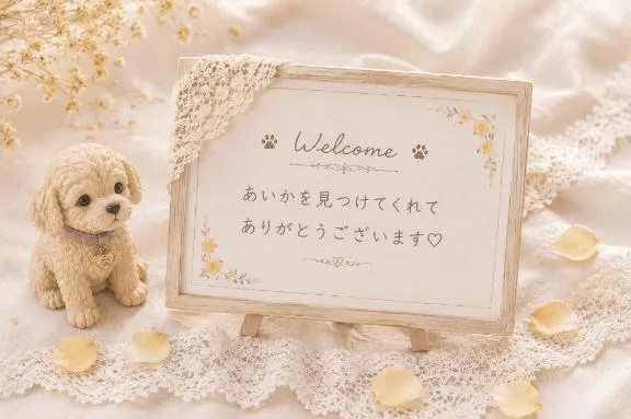 写メ日記 あいか 9/17(木) 20:18