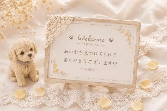 写メ日記 あいか 9/17(木) 20:43