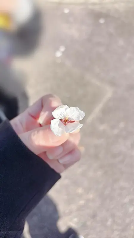 写メ日記 彩星(あやせ) 4/11(土) 19:15