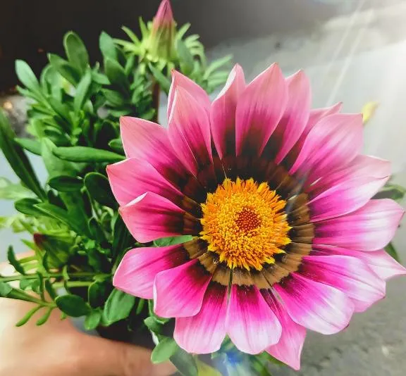 写メ日記 しずな 4/29(水) 10:54