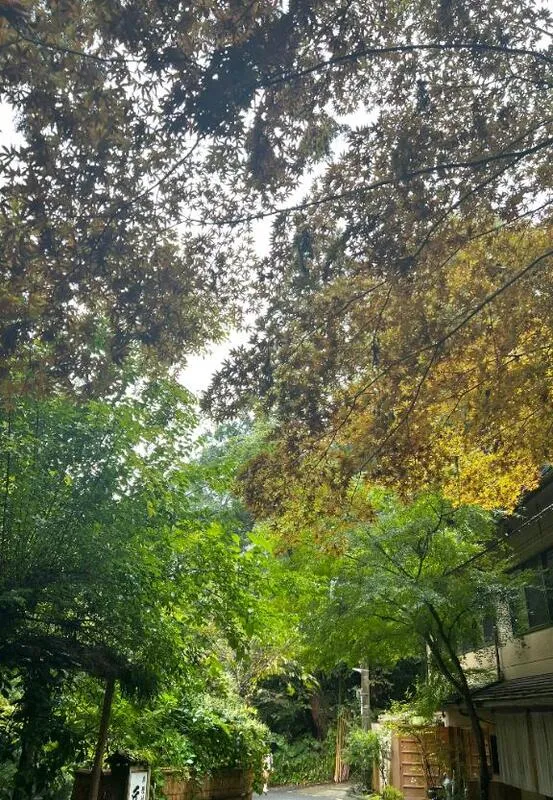 写メ日記 そら 11/12(水) 12:03