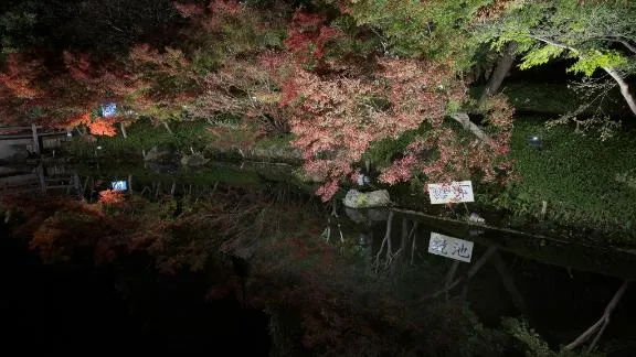 写メ日記 あおい 11/25(火) 10:04