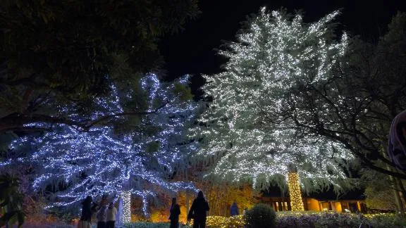 写メ日記 あおい 1/13(火) 10:05