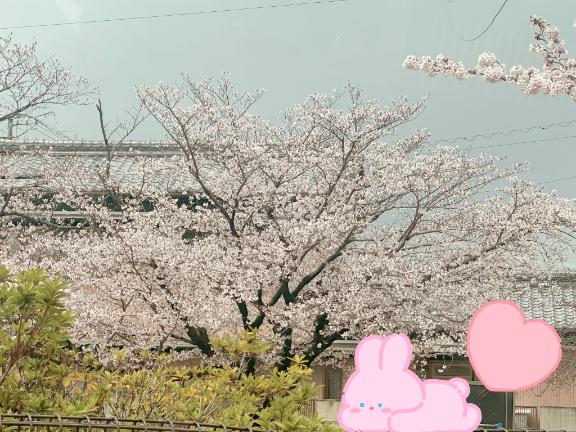 まりさ 写メ日記 4/10(木) 12:30