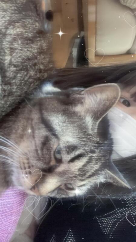 ゆめ 写メ日記 3/29(土) 12:56