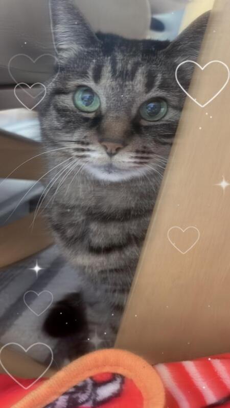 ゆめ 写メ日記 4/5(土) 17:26