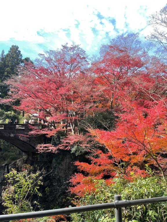 りな 写メ日記 11/26(水) 08:40