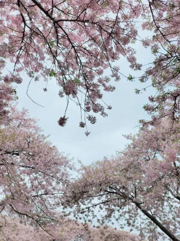 写メ日記 りな 12/26(金) 08:33