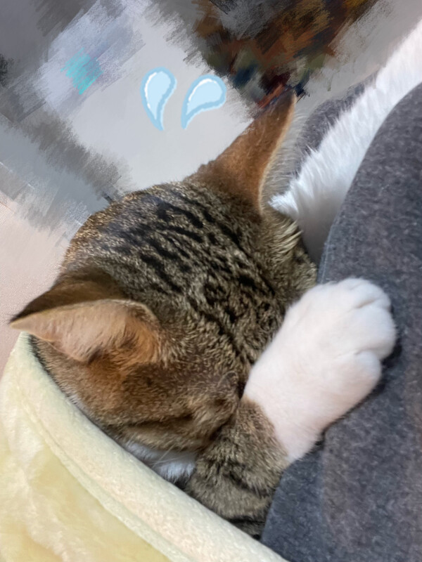 さわ 写メ日記 11/25(火) 12:43