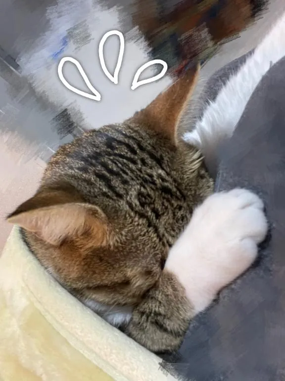 写メ日記 さわ 8/8(土) 14:52