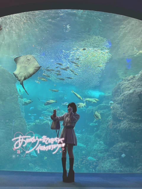 れいな 写メ日記 10/20(月) 04:50