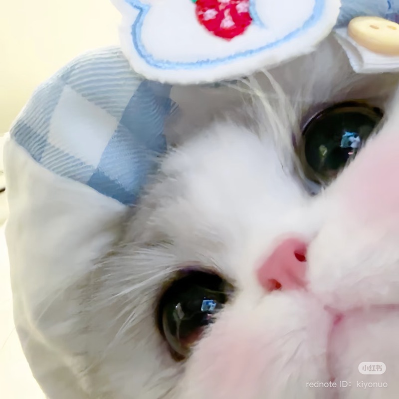 ねる 写メ日記 4/9(水) 11:38