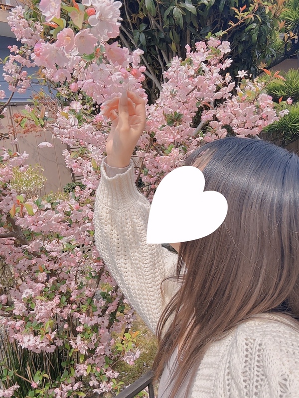 みみ 写メ日記 4/8(火) 11:24