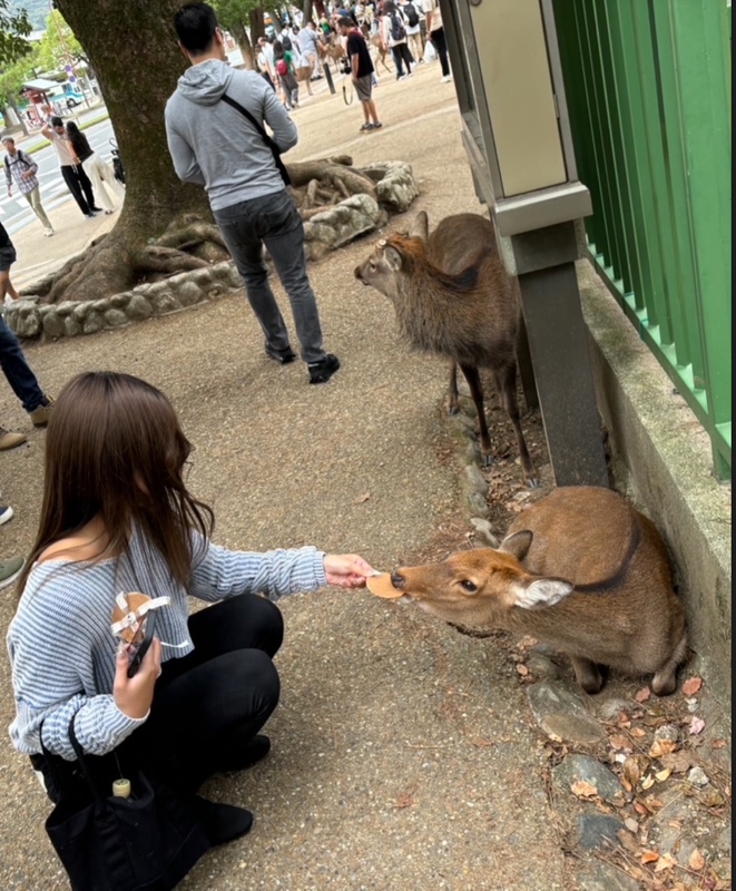 みみ 写メ日記 4/8(火) 15:52