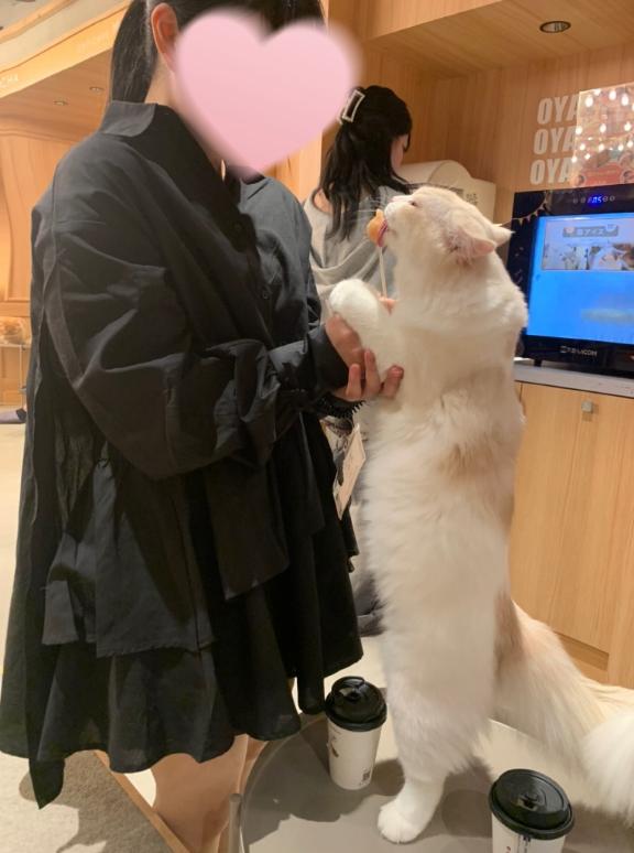 なつ 写メ日記 10/18(土) 14:47