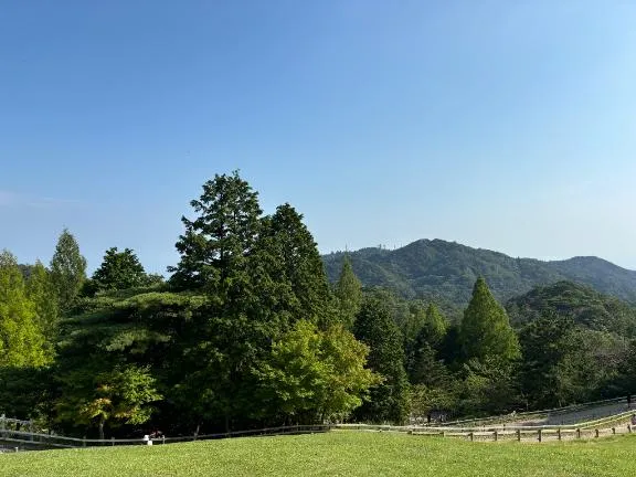 写メ日記 ももの 9/19(土) 13:42