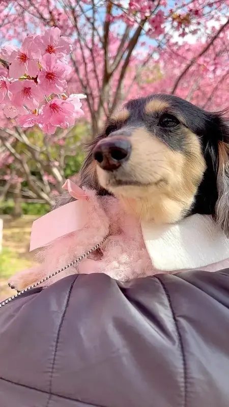 写メ日記 もえ 1/31(土) 01:32