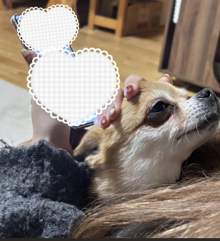あずさ 写メ日記 3/26(水) 17:06