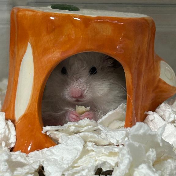 らん 写メ日記 10/29(水) 01:58