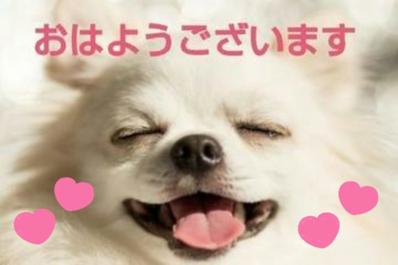 真野（まの） 写メ日記 4/19(土) 10:08