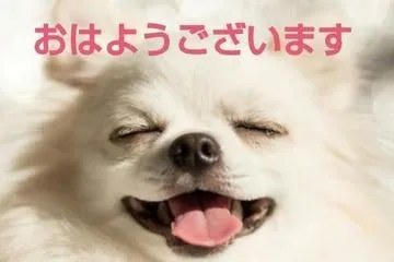 写メ日記 真野（まの） 12/7(日) 09:54