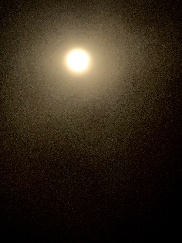 水瀬(みずせ） 写メ日記 11/9(日) 22:28