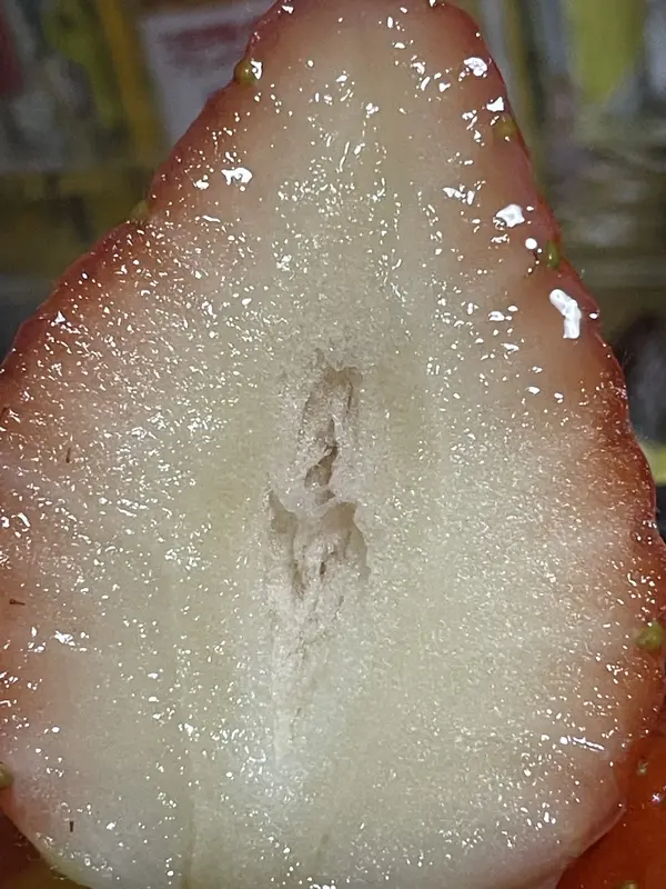 写メ日記 水瀬(みずせ） 12/26(金) 14:39