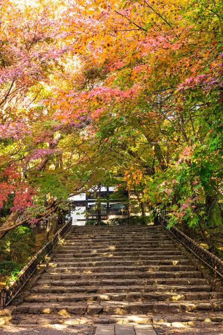 矢田（やだ） 写メ日記 10/11(土) 20:14