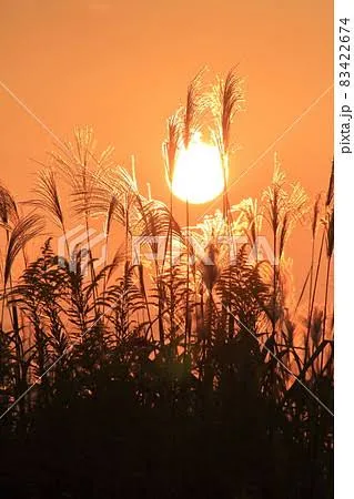 写メ日記 矢田（やだ） 10/29(水) 19:15