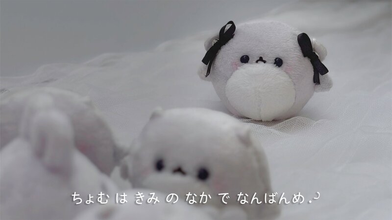 マイ 写メ日記 6/6(金) 19:43