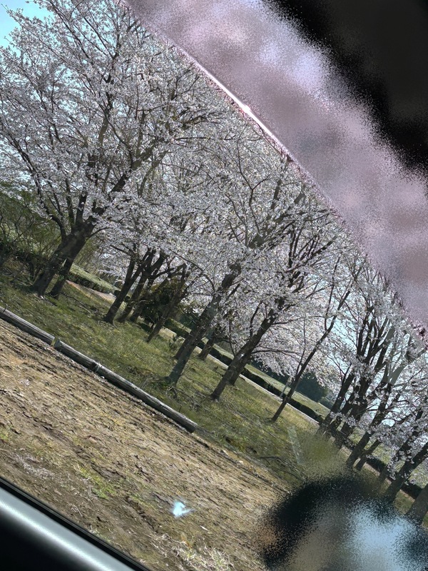 まの 写メ日記 4/9(水) 15:27