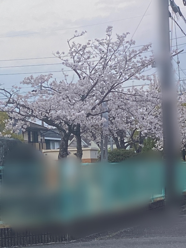 のあ 写メ日記 4/9(水) 07:08